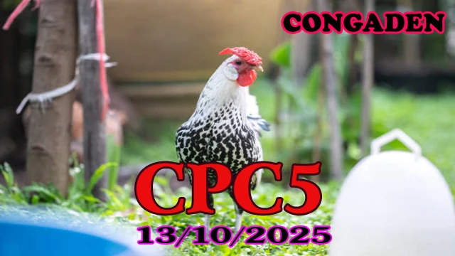 Xem lại đá gà Thomo hôm nay C5 ngày 13/10/2025 1 Xem lại đá gà Thomo hôm nay C5 ngày 13/10/2025