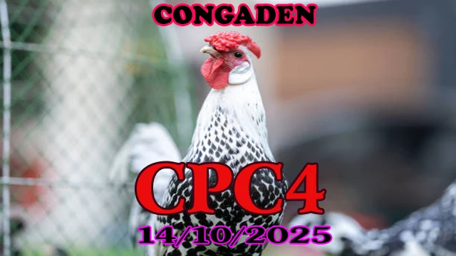 Xem phát lại đá gà Thomo c4 ngày 14/10/2025 1 Xem phát lại đá gà Thomo c4 ngày 14/10/2025