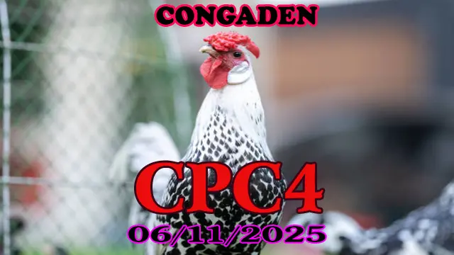Clip các trận đá gà Thomo CPC 4 hôm nay 06/11/2025