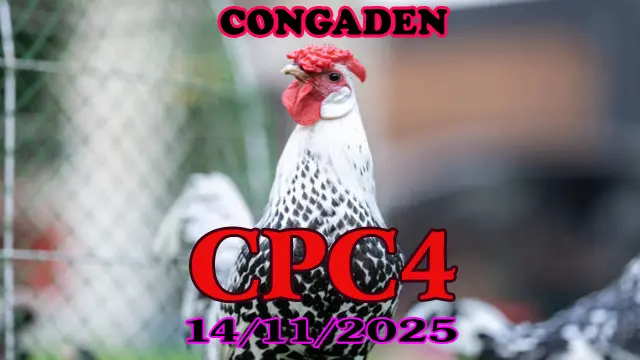 Full Clip Đá Gà Thomo CPC4 Hôm Nay 14/11/2025 – Trực Tiếp Không Gián Đoạn