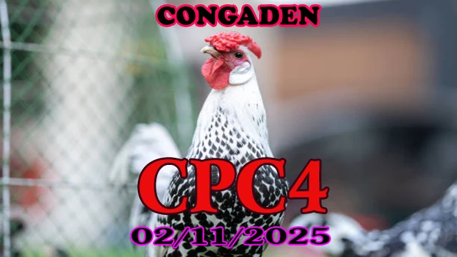 Xem lại đá gà Thomo CPC4 ngày 02/11/2025 hôm nay 1 Xem lại đá gà Thomo CPC4 ngày 02/11/2025 hôm nay