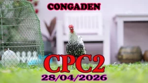 Video Phát Lại Đá Gà Thomo CPC2 Hôm Nay 28042026