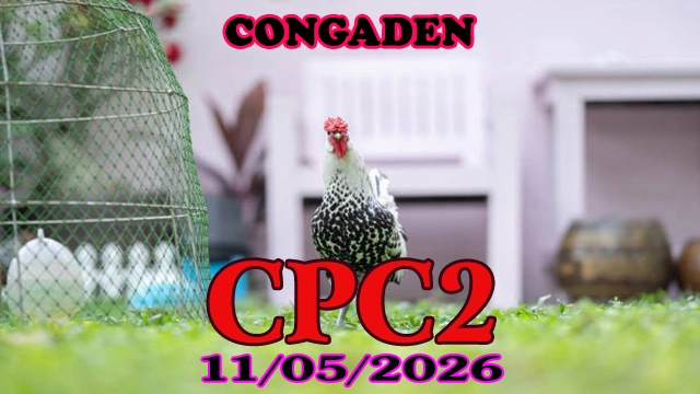 Clip đá gà trực tiếp CPC2 ngày 11052026