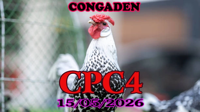 Video đá gà thomo CPC4 ngày 15052026